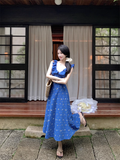 Wenkouban-2025 dress to impress party dress nye outfits Blue Floral V Neak A Line Party Dress YM1834