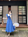 Wenkouban-2025 dress to impress party dress nye outfits Blue Floral V Neak A Line Party Dress YM1834